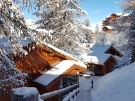 Chalet De Vallandry Le Vent en Poupe with outdoor sauna-24