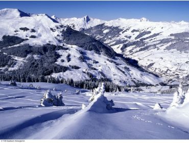 Ski village Popular winter sport destination with lively aprés-ski possibilities-3