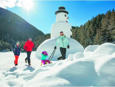 Ski village Idyllic winter sport village for families and beginners-4