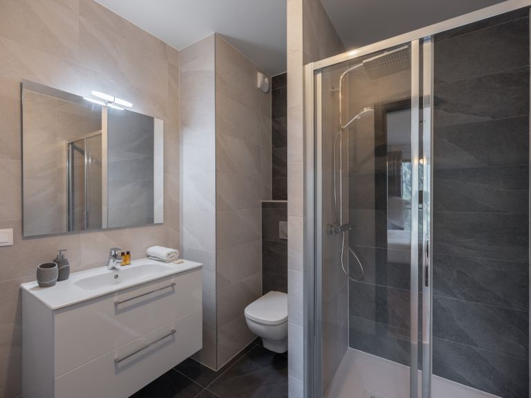Chalet-apartment Le Theleme