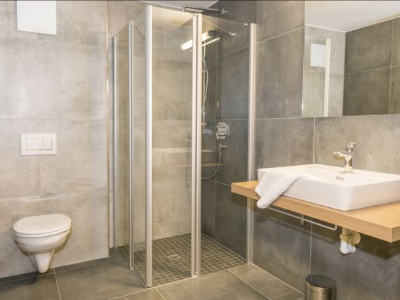 Apartment Kristall Plaza Niederau Type A