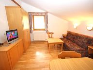 Chalet-apartment Voithofer Top 3-4