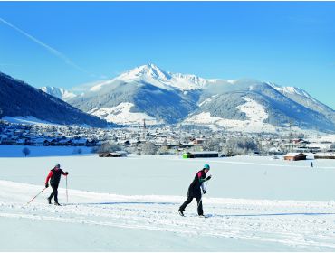 Ski village Snug and cosy Austrian wintersports village-3