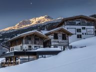 Chalet-apartment The Peak Ötztaler Alpen-14