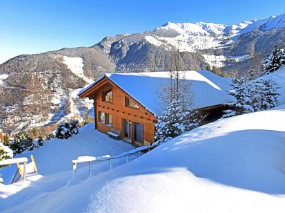 Chalet Alpina with private sauna-1