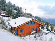 Chalet Alpina with private sauna-17