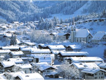 Ski village: Fieberbrunn-1