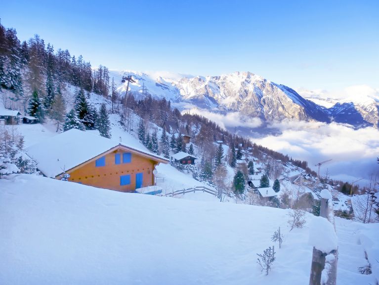 Chalet Alpina with private sauna