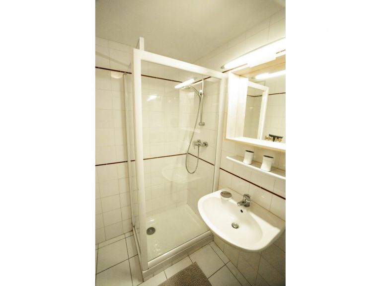Chalet-apartment La Puce