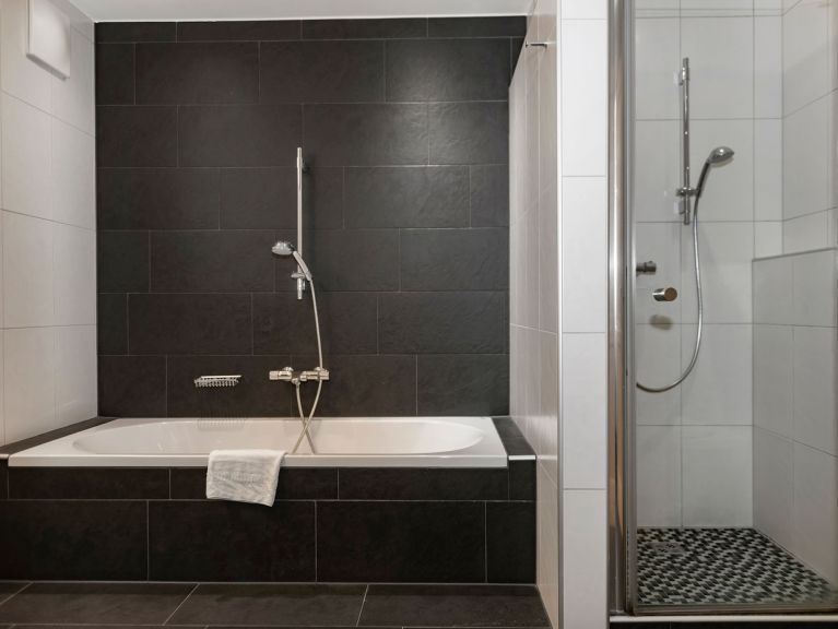 Apartment Residence Zillertal Type C1