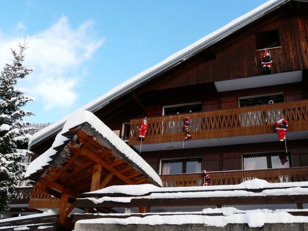 Chalet-apartment La Puce