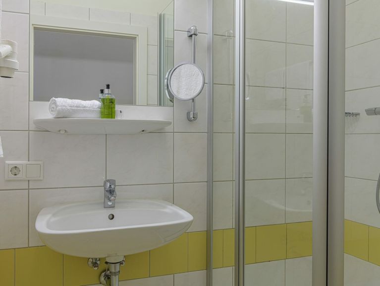 Chalet-apartment AlpenParks Rehrenberg Dreams Plus