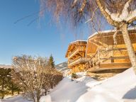 Chalet Le Joyau des Neiges with sauna and whirlpool-20