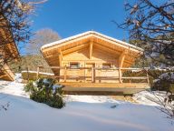 Chalet Le Joyau des Neiges with sauna and whirlpool-21