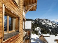 Chalet-apartment Les Portes du Grand Massif-16