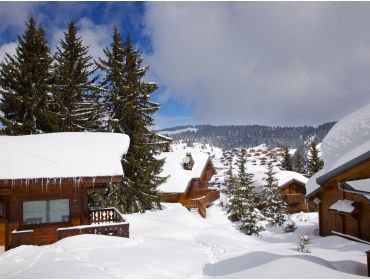 Ski village Child-friendly winter sport village with a view over the Mont Blanc-3