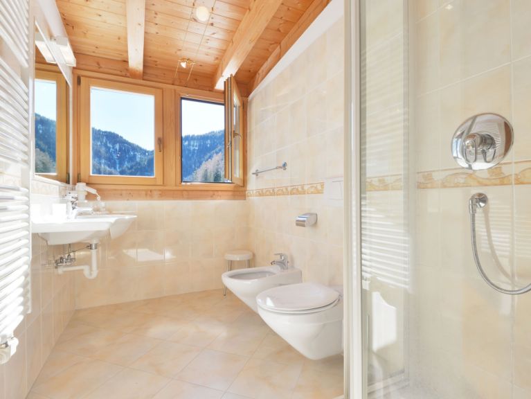 Chalet-apartment Kostner