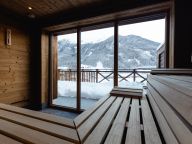 Chalet-apartment Das Neukirchen Type 1a-47