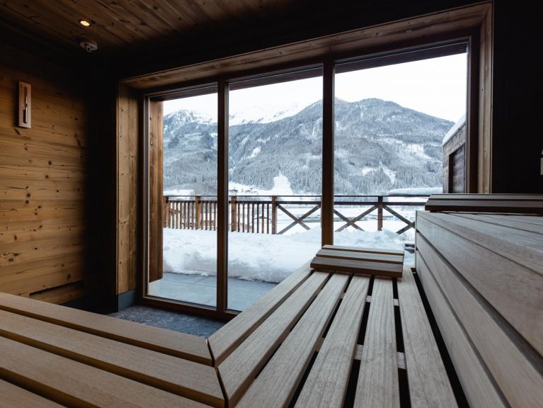 Chalet-apartment Das Neukirchen Type 2b