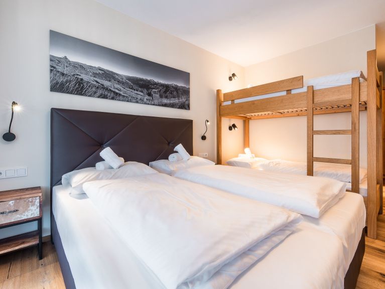 Chalet-apartment Wildkogelresorts Type IVb
