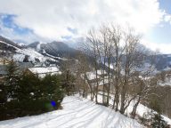 Chalet Nuance de Bleu with private sauna and outdoor whirlpool-15