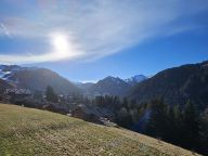 Chalet du Saix-27