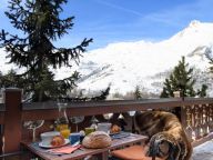 Chalet Le Hameau des Marmottes with family room and sauna-50