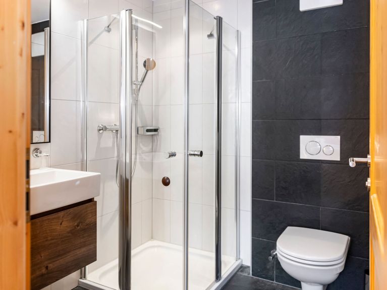 Apartment Residence Zillertal Type C3