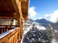 Chalet Nuance de Bleu with private sauna and outdoor whirlpool-12