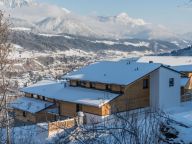 Chalet-apartment Panorama Lodge Penthouse White Gold-36