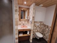 Chalet-apartment La Cime des Arcs with cabin-10