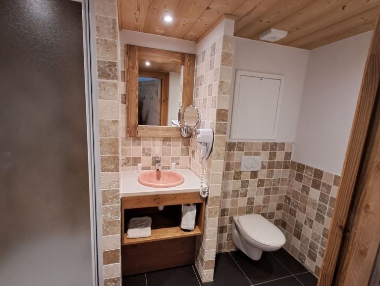 Chalet-apartment La Cime des Arcs with cabin