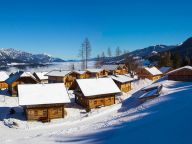 Chalet Almwelt Austria Jägerin-13