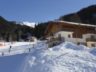 Chalet-apartment Les Chalets de la Ramoure-9