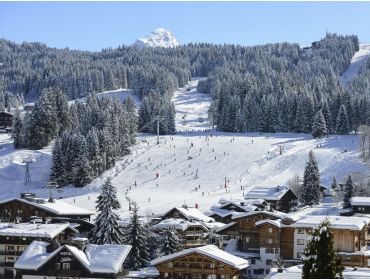 Ski village Authentic winter sport village; ideal for beginners and families-3