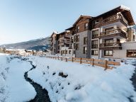 Chalet-apartment Das Neukirchen Type 1a-67