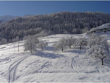 Ski village Small, traditional mountain village, connected to Paradiski - Les Arcs-6