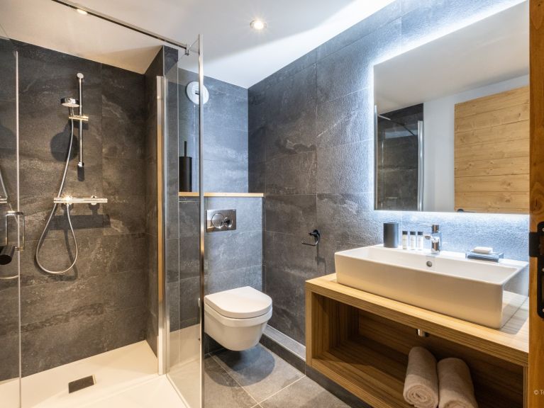 Chalet-apartment Le Flocon Blanc