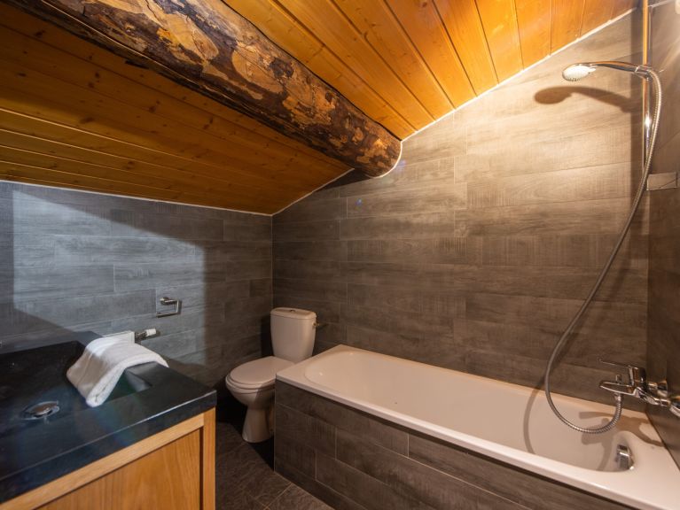 Apartment Les Chalets du Thorens