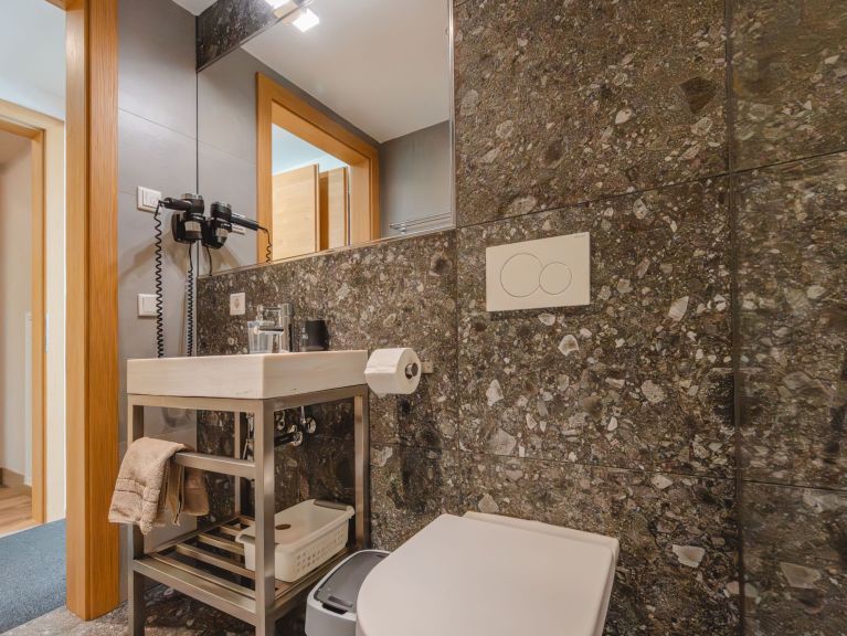 Chalet-apartment Fassl