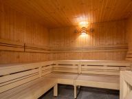 Chalet-apartment Wildkogelresorts Type IIa-9