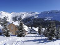 Chalet Hameau de Flaine superior with sauna-16