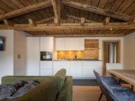 Chalet-apartment Alps Zillertal-7