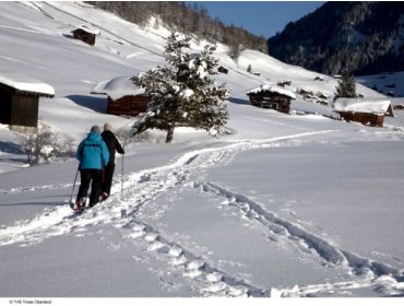 Ski village Well-visited winter-sport village at a convenient location-5