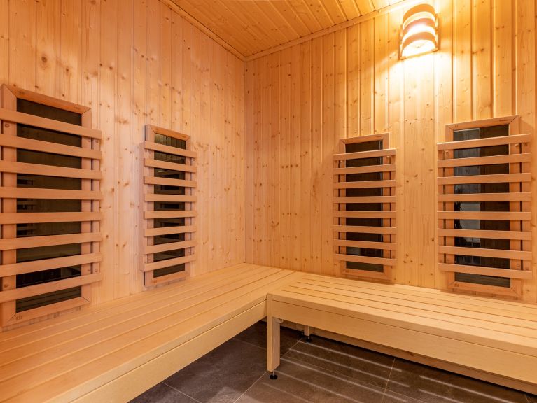 Chalet-apartment Wildkogelresorts Penthouse Type IIb