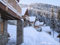 Chalet Le Clos du Pré Type 3, with sauna-31