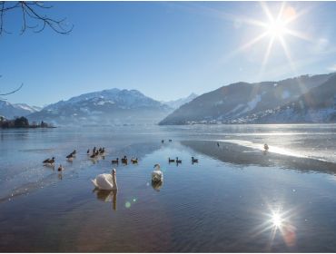 Ski village Situated next to a lake with several après-ski possibilities-12