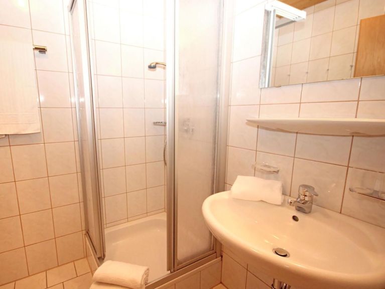 Chalet-apartment Voithofer Top 3