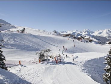 Ski village Charming winter sport village with a good connection to La Plagne-10