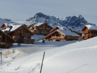 Chalet de L'Altiport Melusine with sauna and whirlpool-17